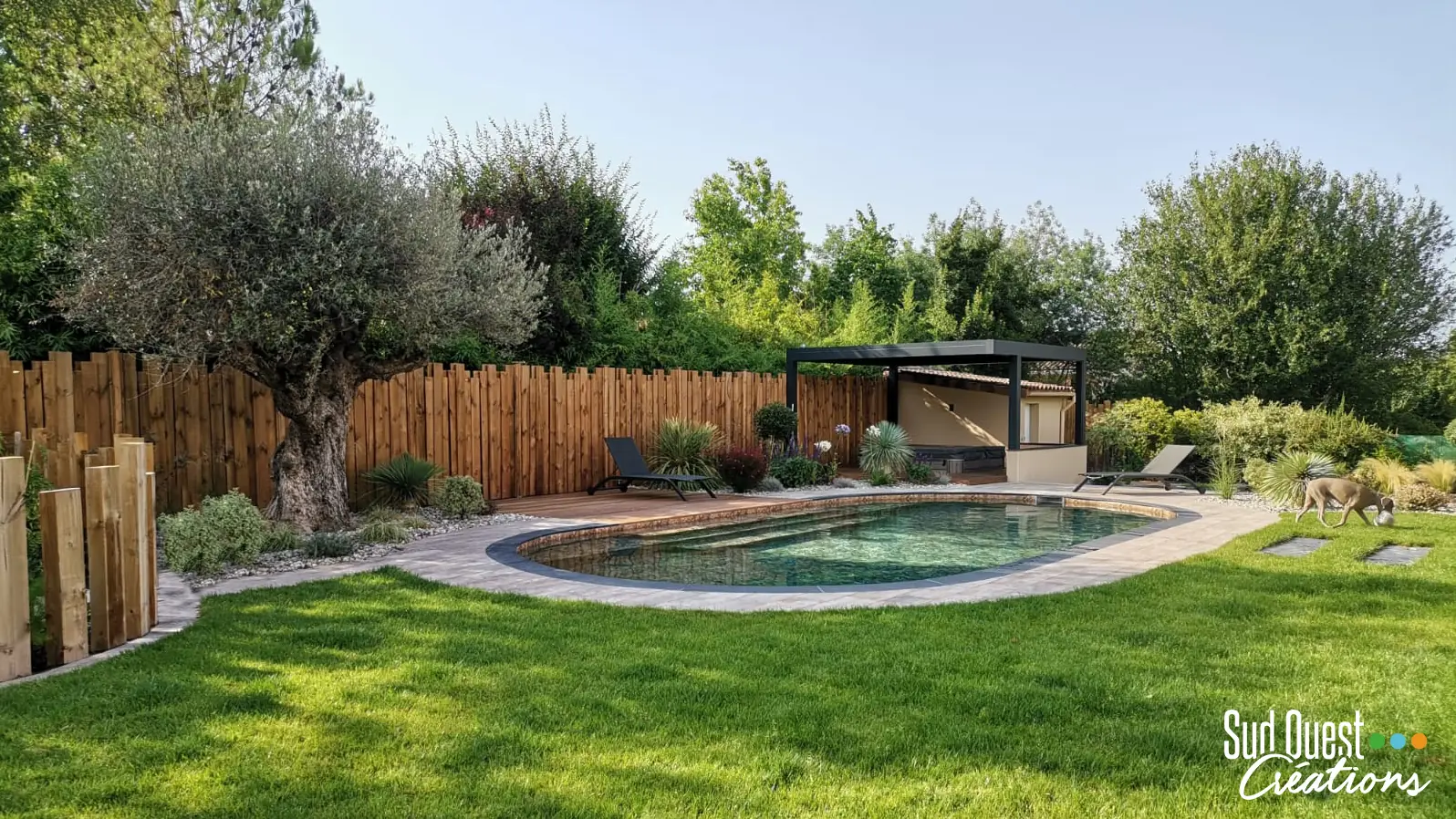 Piscine ovale dans un jardin avec pelouse, olivier et pergola abritant un spa
